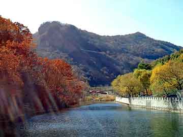 37岁女星江若琳突发车祸，社会工程学